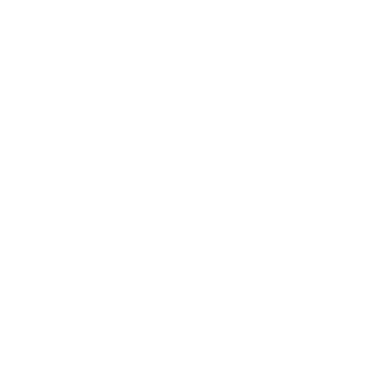 Data3S logo